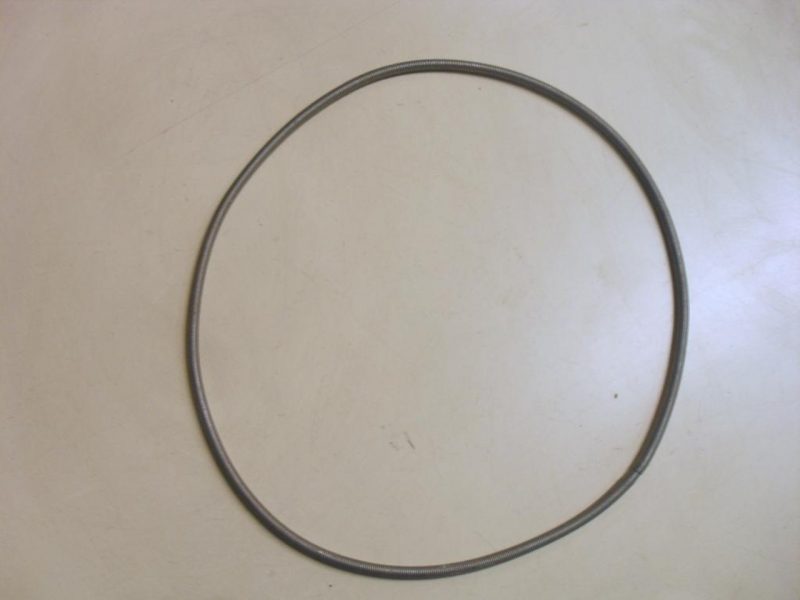 1821 -- 000 (1878) MOLLA BLOCCO GUARNIZIONE PER LAVATRICE ZEUS SLS 60 ZT